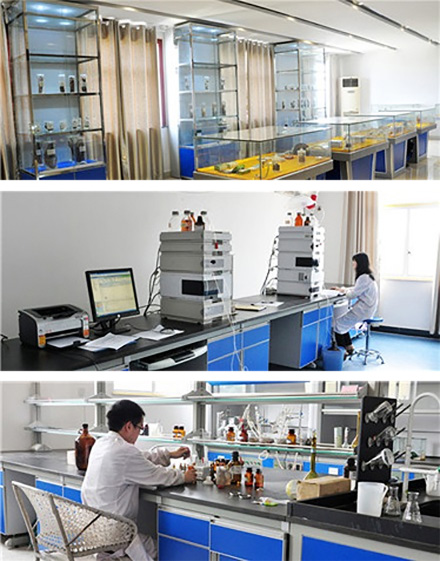 生命至上 清静第一